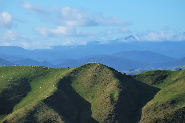 Belmont Regional Park 5