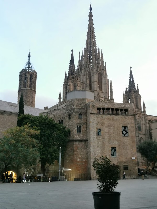 Cathedral of Barcelona 5