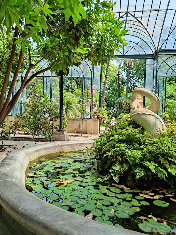 Orto Botanico di Palermo 4