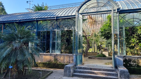 Orto Botanico di Palermo 2