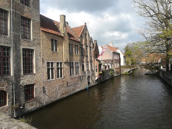 Groenerei