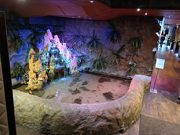 Restaurant Caverna 3