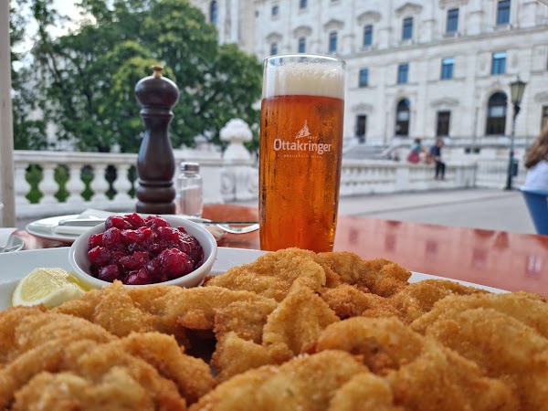 Brasserie Palmenhaus Wien 5