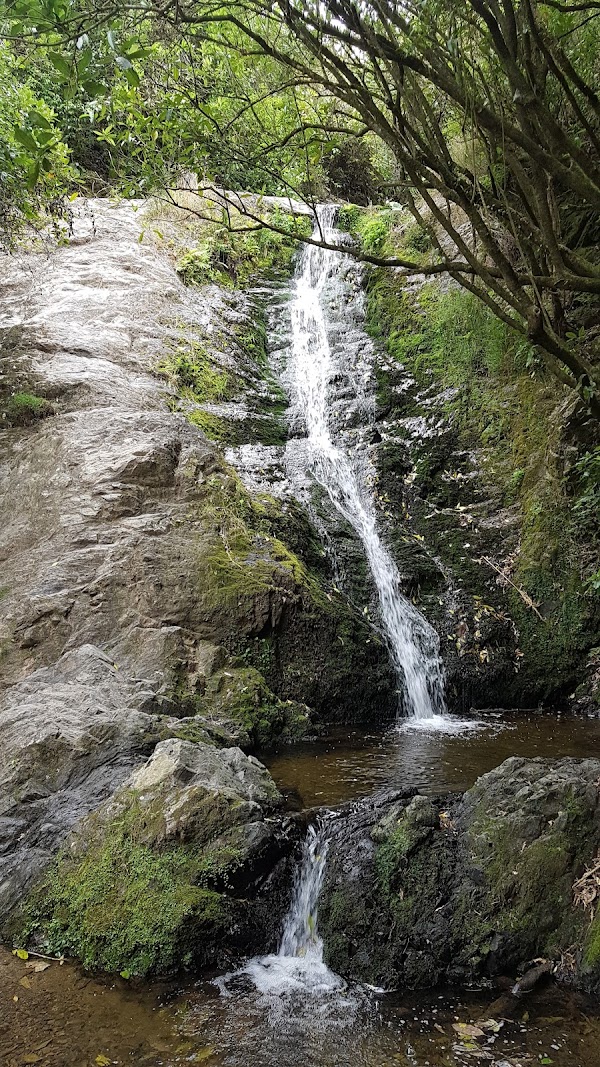 Seton Nossiter Park 1