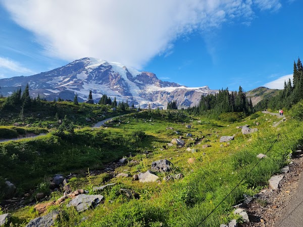 Mount Rainier National Park 5