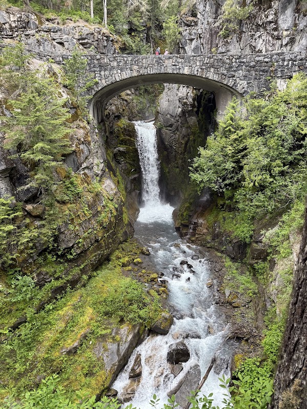 Mount Rainier National Park 2