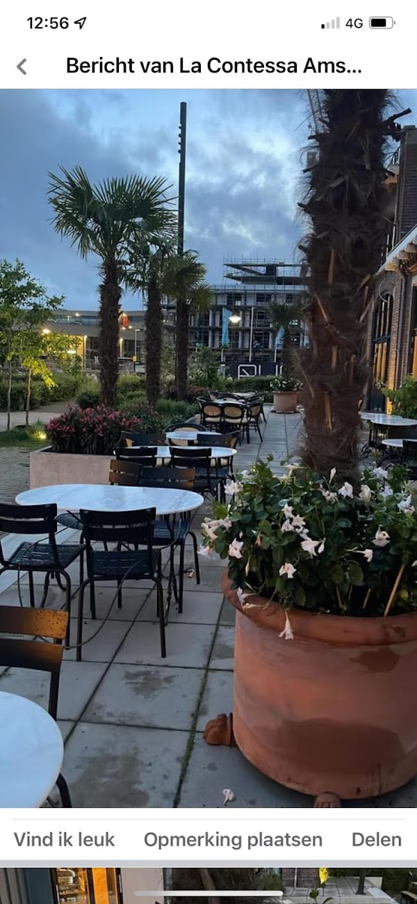 La Contessa, Ristorante Italiano & Gelateria 1