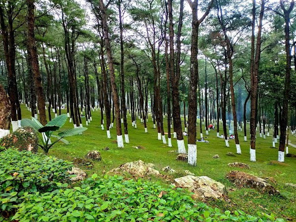 Ba Vi National Park 5