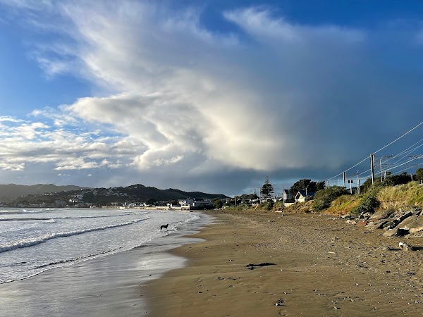 Plimmerton Beach 1