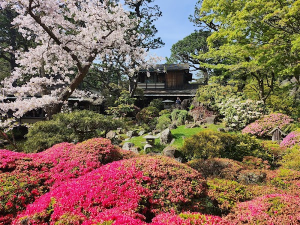Japanese Tea Garden 3