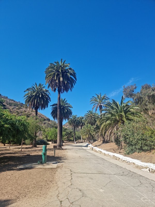 Runyon Canyon Park 3