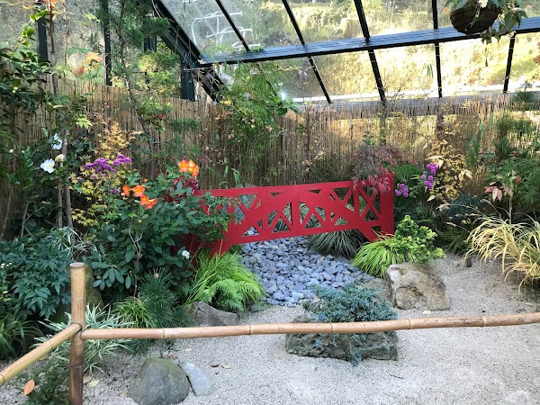 Pukekura Park Fernery and Display Houses 4