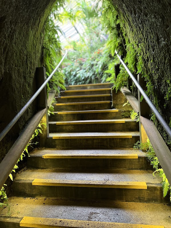 Pukekura Park Fernery and Display Houses 2