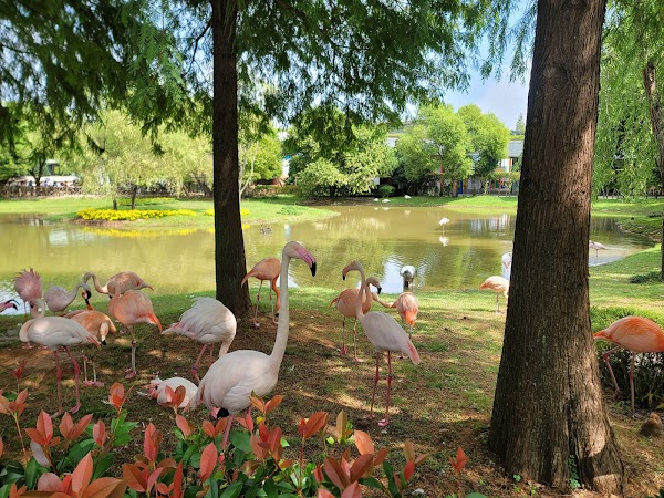 Suncheon Bay National Garden 5