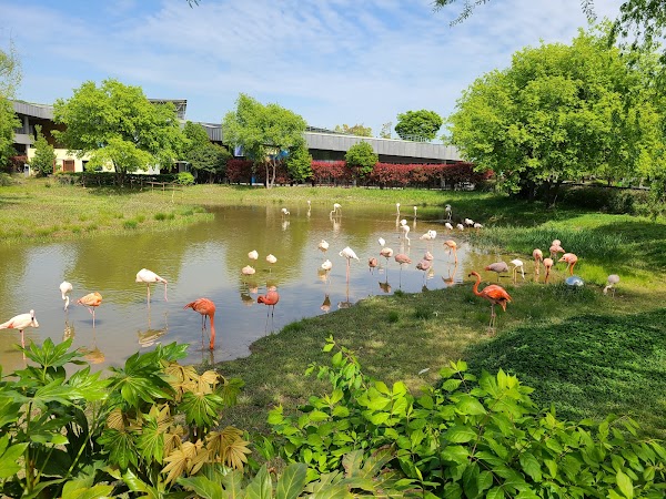 Suncheon Bay National Garden 4
