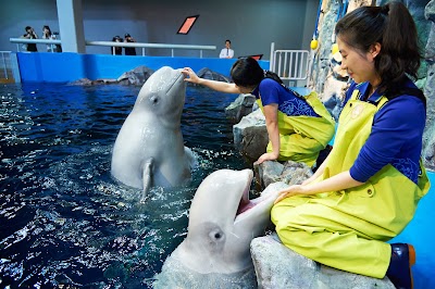 Aqua Planet Yeosu