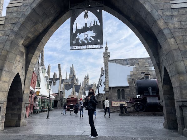 The Wizarding World Of Harry Potter 5
