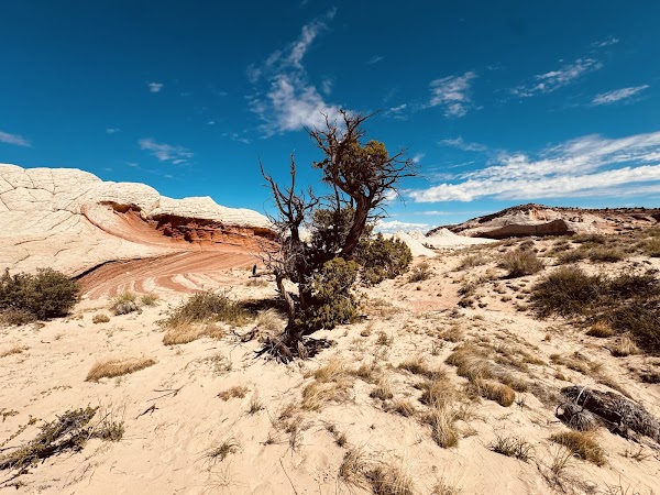 Antelope Canyon Tours - by Carolene Ekis 3
