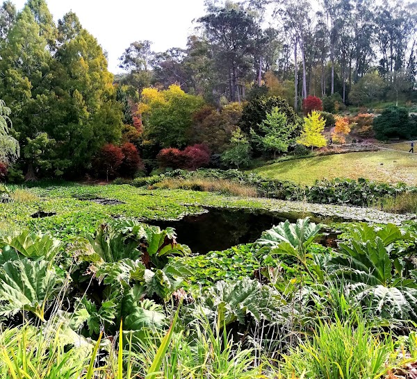 Mount Lofty Botanic Garden 1