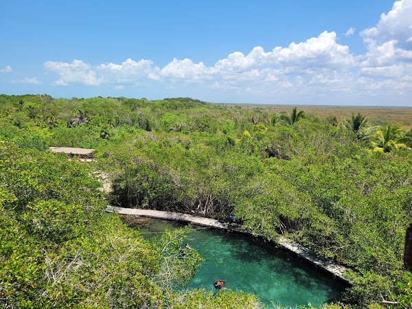 Hoyo negro Yalahau 6