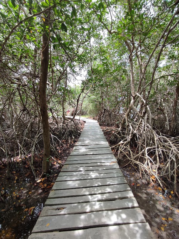 Hoyo negro Yalahau 3