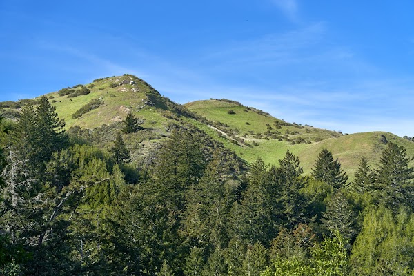 Windy Hill Open Space Preserve 6