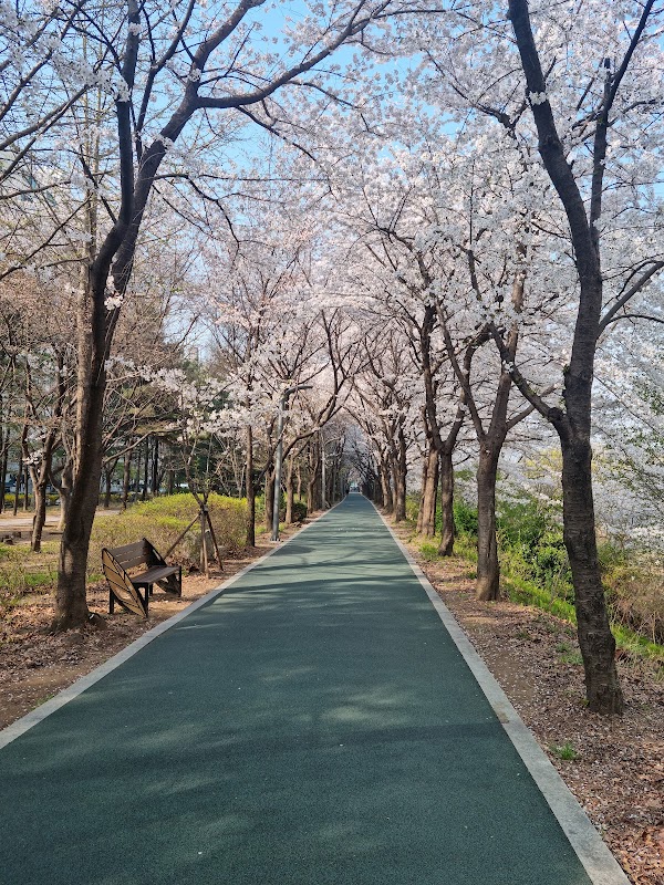 Yeongdong 3(sam)-gyo