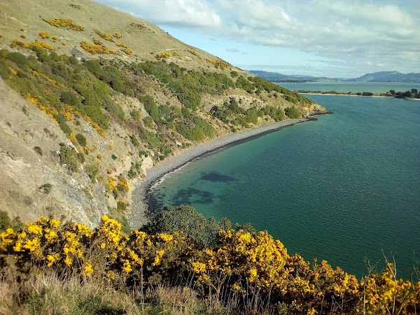 Royal Albatross Centre 2