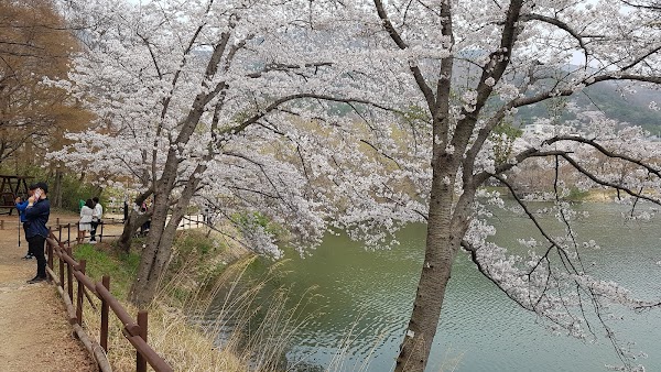 Yeojwacheon River 5