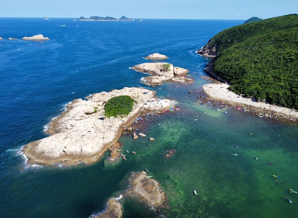 Green Egg Island