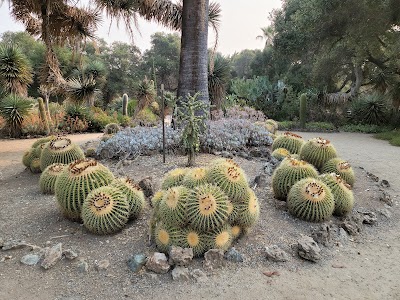 Arizona Garden