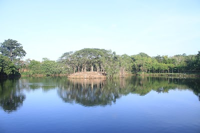 Legon Botanical Gardens Ghana..