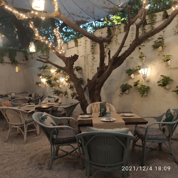 Olive Bar and Kitchen 3