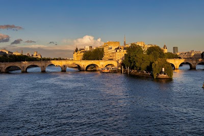 Pont Neuf 6