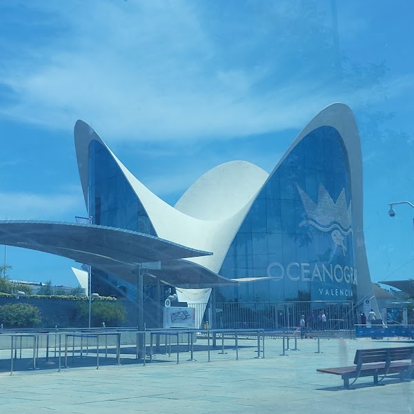 L'Oceanogràfic 4
