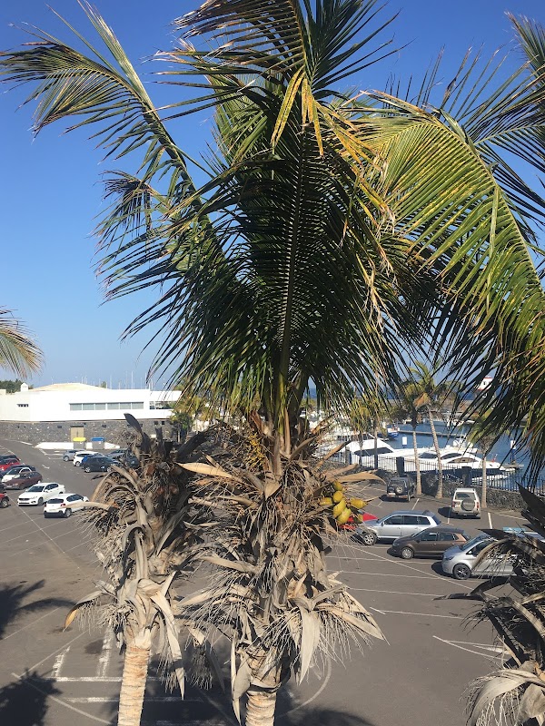 Lanzarote 3