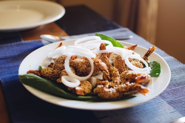 Light House Galley 5