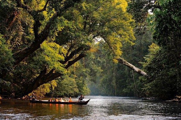 Taman Negara National Park