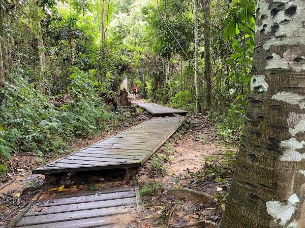 Taman Negara National Park 3