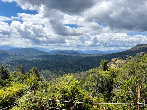 Taman Negara National Park 2