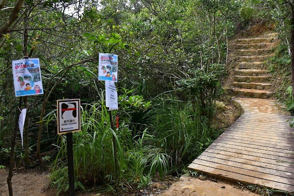 Tai Tam Mound Waterfall 5