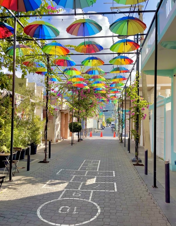 Umbrella Street 1