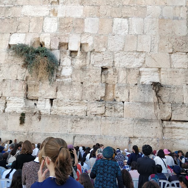 Western Wall 4