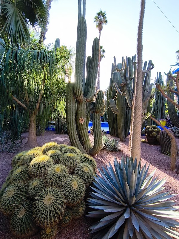 Jardin Majorelle 2