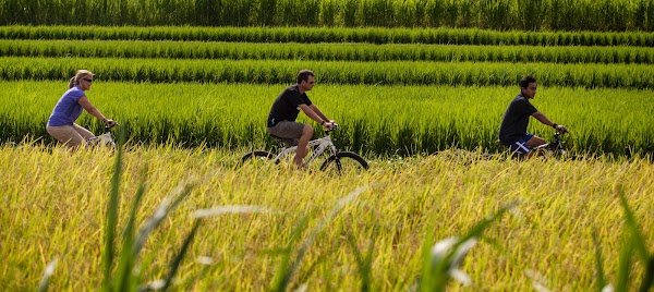 Bali Rural Commune