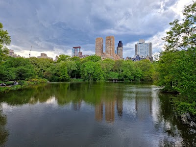 The Lake