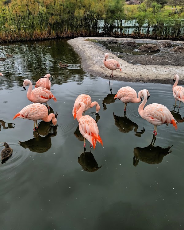 Parque Bicentenario 2