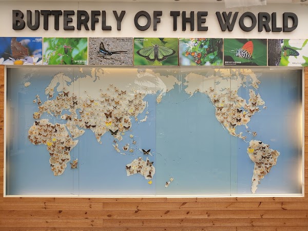 Nine Forest Ewhawon 5