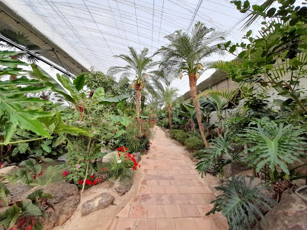 Nine Forest Ewhawon 2