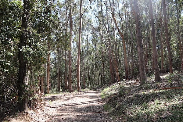 Wunderlich County Park